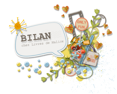 BILAN001 - Copie